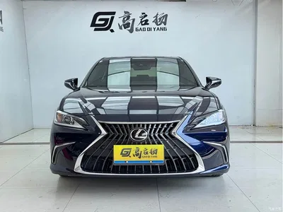 2023 Lexus ES 260 Excellence, фото 2, лот 11195819