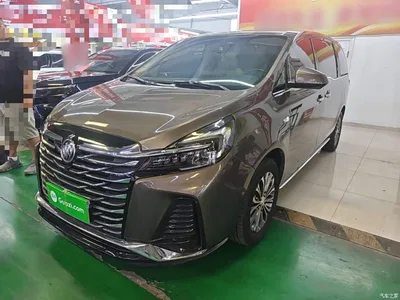 2023 Buick GL8 Land Business Class Premium, фото 1, лот 10262154