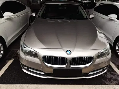2014 BMW 5 Series 520Li Elegance, фото 3, лот 11203281