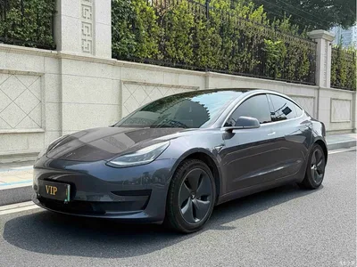 2020 Tesla Model 3 Standard Range Rear-Wheel Drive Upgrade, фото 1, лот 11197638