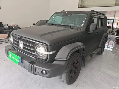 2021 Tank 300 Off-road Version 2.0T Conqueror, фото 1, лот 10345515