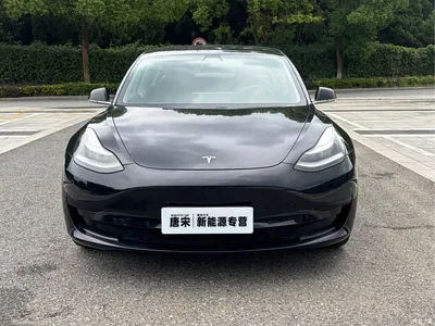 2020 Tesla Model 3 Standard Range Rear-Wheel Drive Upgrade, фото 2, лот 10452117