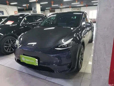 2024 Tesla Model Y Rear-Wheel Drive Version, фото 1, лот 10369915