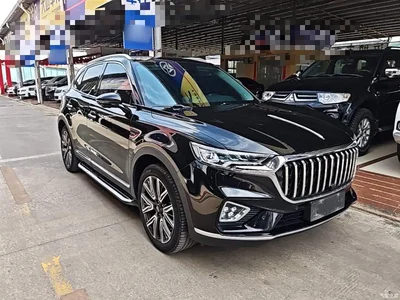 2022 Hongqi HS5 Facelift 2.0T Smart Flag Enjoyment AWD Edition, фото 4, лот 10289793