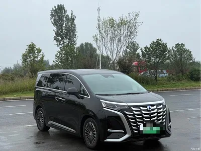 2024 Denza D9 DM-i 980 AWD Flagship, фото 3, лот 11179681