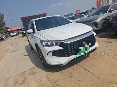 2024 BYD Song Pro New Energy Glory Edition DM-i 71KM Pilot, фото 2, лот 10273239