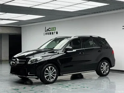 2016 Mercedes-Benz GLE 320 4MATIC Dynamic, фото 1, лот 10298048