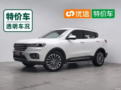 2017 Haval H6 Blue Label 2.0T Auto 2WD Leader, фото 1, лот 10334466