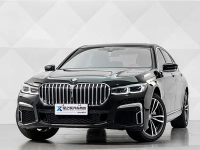 2019 BMW 7 Series Facelift 730Li M Sport Package, фото 2, лот 10403771