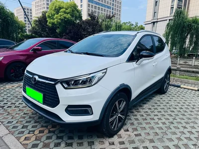 2019 BYD Yuan New Energy EV535 Smart Connection Leading Type, фото 1, лот 10955708