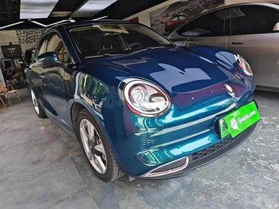 2023 Ora Good Cat 401km Standard Range Luxury LFP, фото 4, лот 10330487