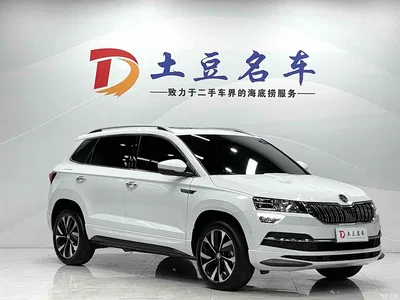 2023 Škoda Karoq TSI280 Luxury Edition, фото 3, лот 10349507