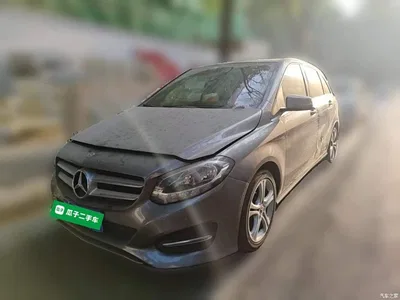 2017 Mercedes-Benz B-Class B 200 Dynamic, фото 1, лот 10287549