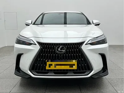 2023 Lexus NX 260 FWD Dynamic Edition, фото 2, лот 10313900