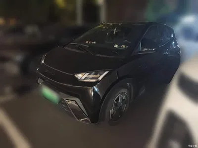 2023 BYD Seagull Freedom Edition, фото 1, лот 11133636