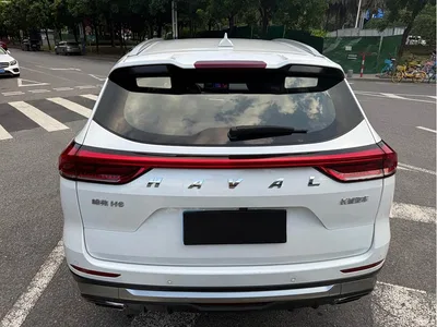2023 Haval H6 National Trend Edition 1.5T Automatic Urban, фото 4, лот 10416123
