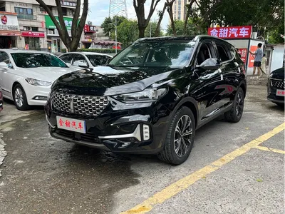2021 WEY VV6 2.0T 2WD Smart Protection+, фото 1, лот 10451777
