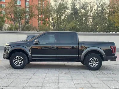 2017 Ford F-150 Raptor 3.5T Raptor Performance Edition, фото 4, лот 10295303