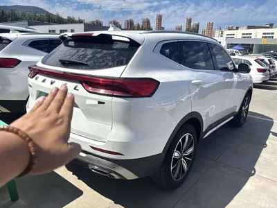 2023 Haval H6 National Trend Edition 1.5T Automatic Champion, фото 4, лот 10445650