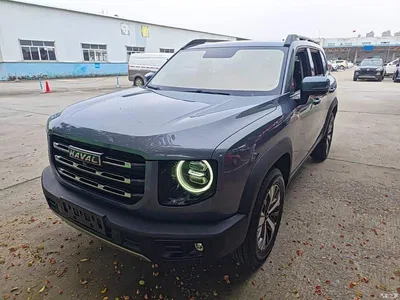 2022 Haval Big Dog 1.5T DCT FWD Labrador Edition, фото 1, лот 11188065