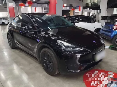 2022 Tesla Model Y Facelift Rear-Wheel Drive Version, фото 4, лот 10389060