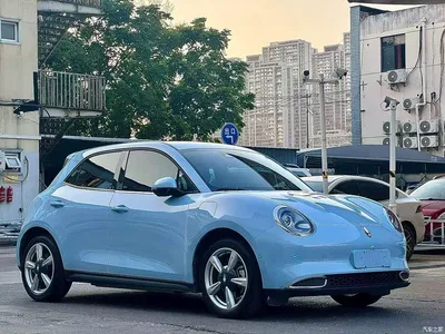 2021 Ora Good Cat 400km Standard Range Athena Edition (NCM), фото 3, лот 11227603