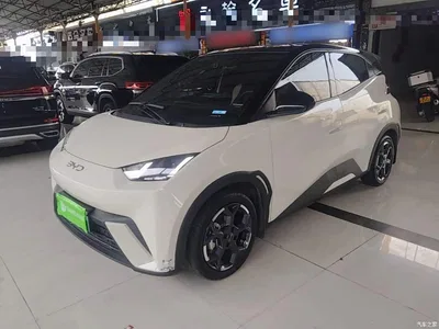 2024 BYD Seagull Glory Edition 305km Freedom Edition, фото 2, лот 10262801