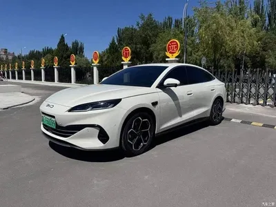 2025 BYD Seal 06 New Energy DM-i Smart Drive Edition 120KM Flagship, фото 1, лот 10272929