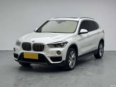 2018 BMW X1 sDrive20Li Leading Model, фото 1, лот 10427238