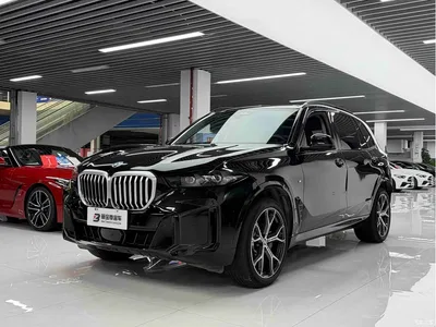 2023 BMW X5 xDrive 30Li Premium M Sport Package, фото 1, лот 11567493