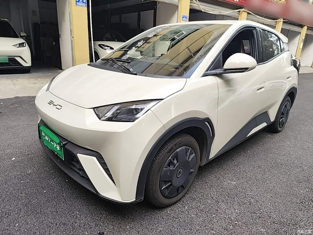 2024 BYD Seagull Glory Edition 305km Vitality Edition, фото 2, лот 11218356