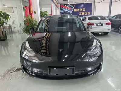 2022 Tesla Model 3 Model Rear-Wheel Drive Version, фото 3, лот 10354843