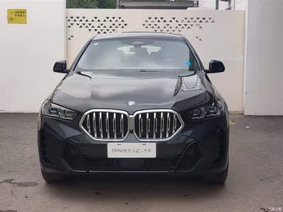 2023 BMW X6 xDrive40i M Sport Package, фото 2, лот 11570543