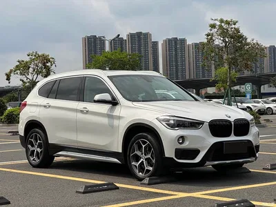 2019 BMW X1 xDrive20Li Luxury Model, фото 3, лот 11253668