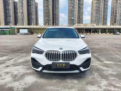 2020 BMW X1 sDrive20Li Fashion Model, фото 2, лот 11558789