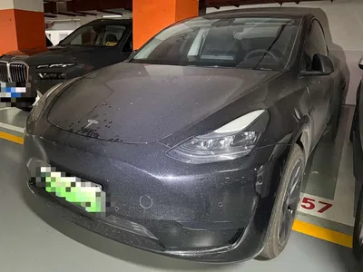 2023 Tesla Model Y Rear-Wheel Drive Edition, фото 1, лот 10594085