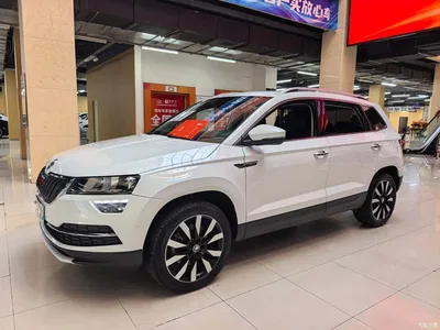 2021 Škoda Karoq TSI280 Luxury Edition, фото 1, лот 10349181