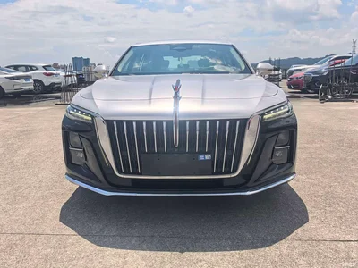 2023 Hongqi H5 2.0T Auto Smart Connect Flag Comfort, фото 3, лот 10288478