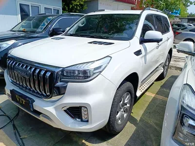 2022 Haval H9 2.0T Gasoline 4WD Comfort 7-Seater, фото 1, лот 10281376
