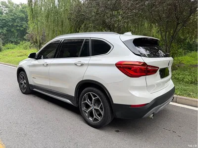 2018 BMW X1 xDrive20Li Premium Model, фото 4, лот 10465823