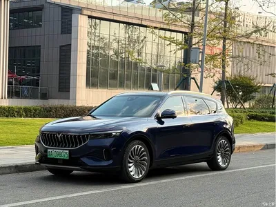 2021 Voyah Auto VOYAH FREE AWD Standard Pure Electric Exclusive Luxury Package, фото 1, лот 10310732