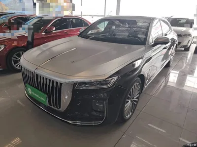 2020 Hongqi H9 2.0T Smart Connection Qi Chang Edition, фото 1, лот 10289495