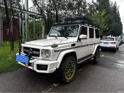 2009 Mercedes-Benz G-Class AMG AMG G 55, фото 1, лот 10298968
