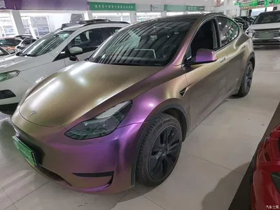 2023 Tesla Model Y Rear-Wheel Drive Edition, фото 1, лот 11448827