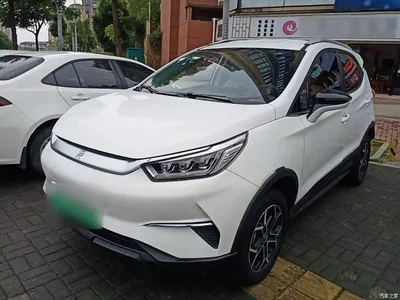 2021 BYD Yuan Pro 401KM Luxury Model, фото 1, лот 10362033