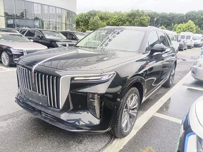2021 Hongqi E-HS9 460km Flagship Comfort 6-seater, фото 1, лот 10304474