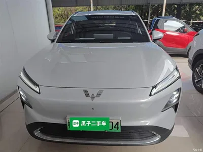 2024 Wuling Motors Wuling Xingguang S 130km Pilot, фото 3, лот 10835971