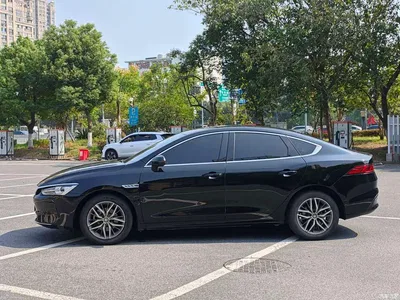 2023 BYD Qin PLUS Champion Edition EV 510KM Leading Type, фото 4, лот 11181410