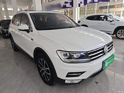 2018 Volkswagen Tiguan L 330TSI Automatic 2WD Luxury Edition, фото 4, лот 10463062