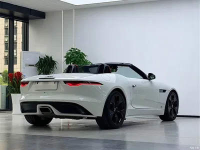 2024 Jaguar F-TYPE P300 75th Anniversary Collector's Convertible Edition, фото 3, лот 10290186
